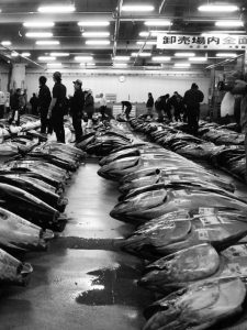 Tsukiji Market
