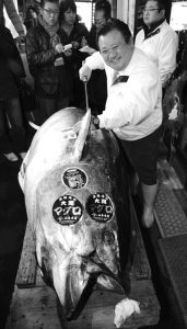 first auction of the year in Tsukiji
