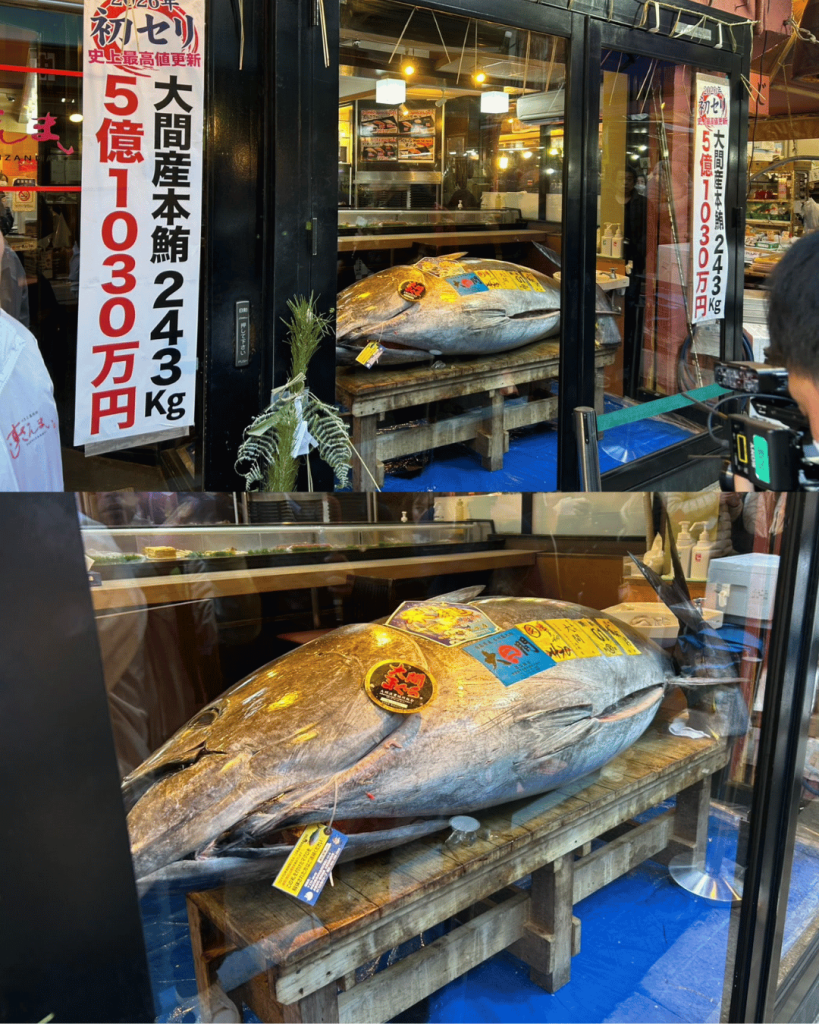 A historic Japanese bluefin tuna displayed at Sushi Zanmai with auction signage highlighting its record value and origin